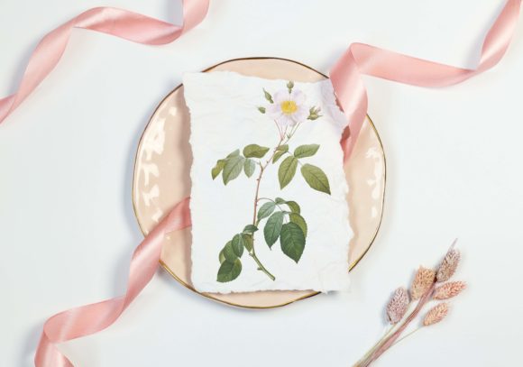 The Timeless Beauty of a White Wedding Rose Illustration